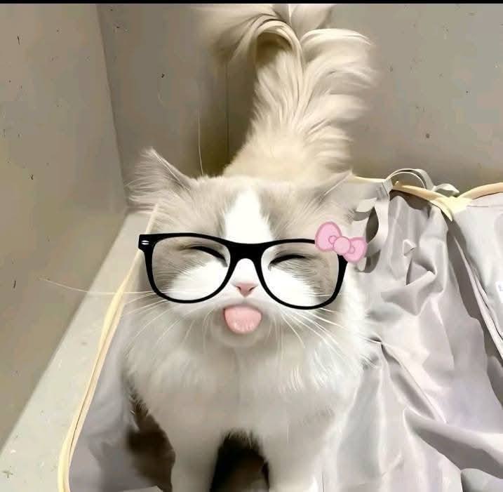 7MMBET | Olympus Kaget! Strategi Terbaru Ini Bikin Zeus Lempar Perkalian Tanpa Logika image 1